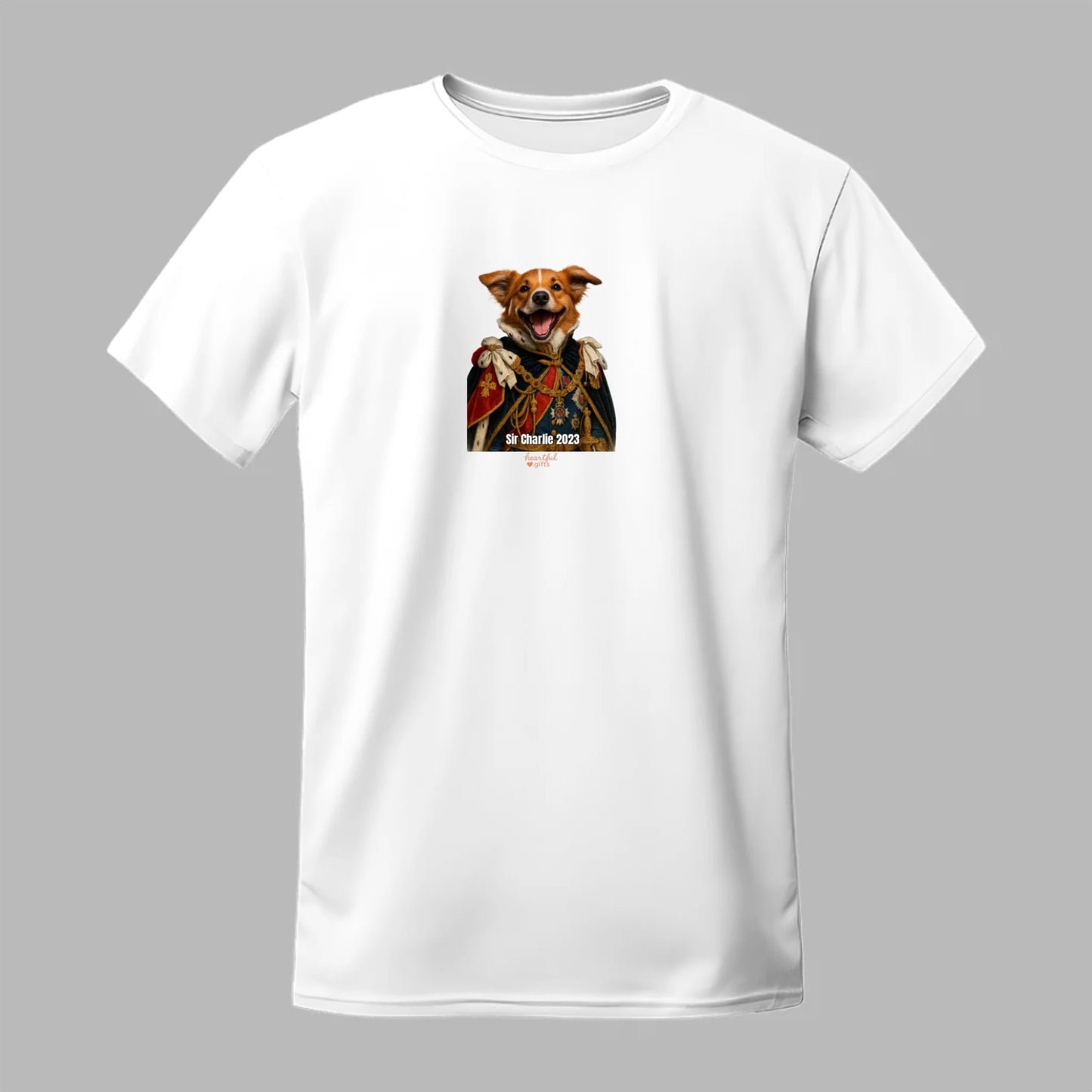 T-shirt-all color 8